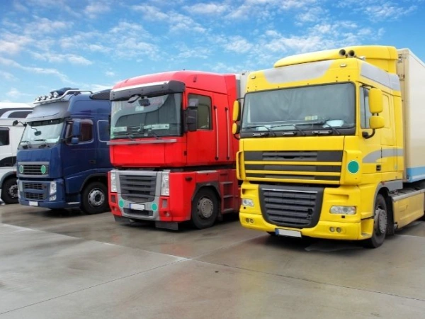 Bursa Fıstıkağacı Nakliye